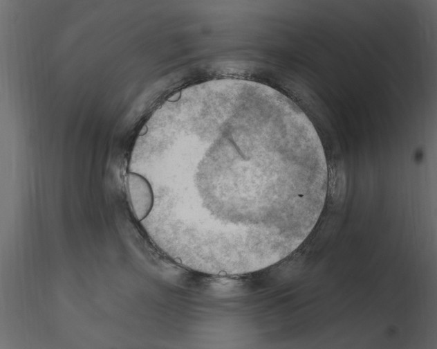 X0000115850718200912242038