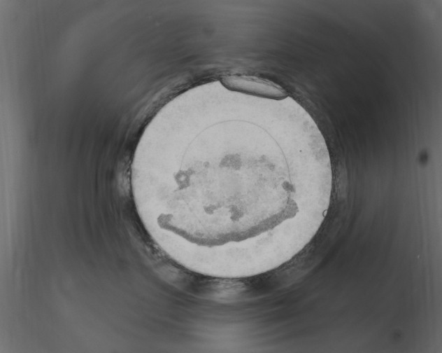 X0000115850719200912242037