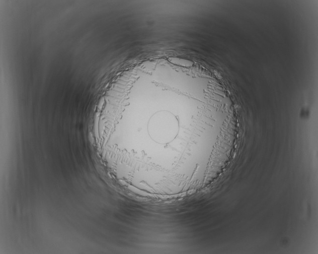 X0000115850720200912242037