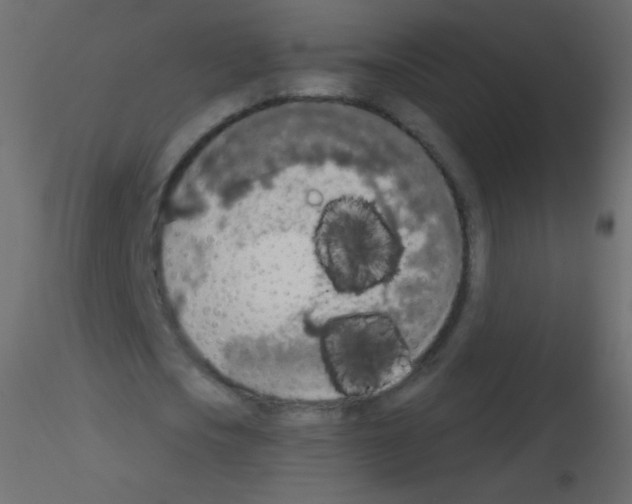 X0000115850721200912242037