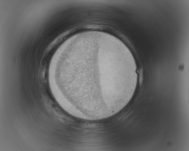 X0000115850723200912242037