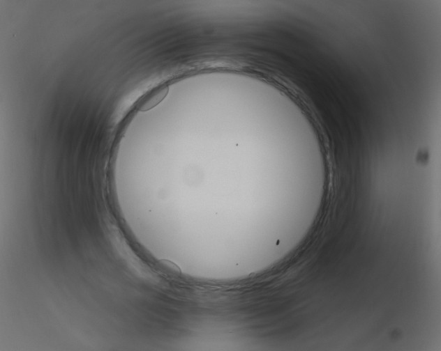 X0000115850725200912242037