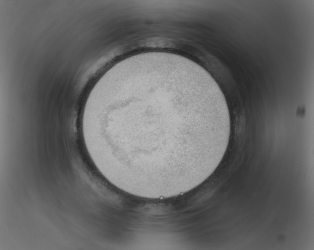 X0000115850727200912242037