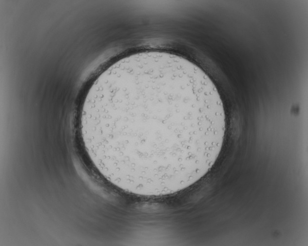 X0000115850730200912242037