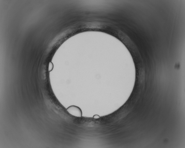 X0000115850731200912242037