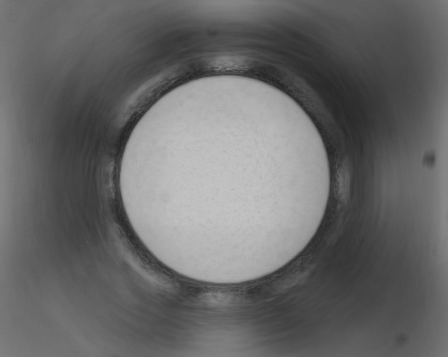X0000115850733200912242037