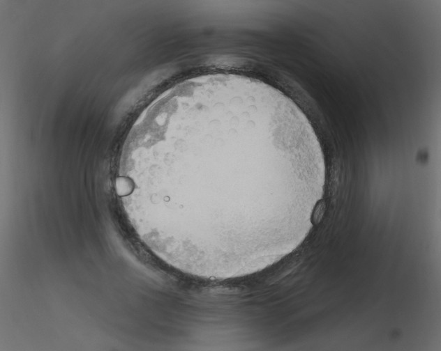X0000115850734200912242037