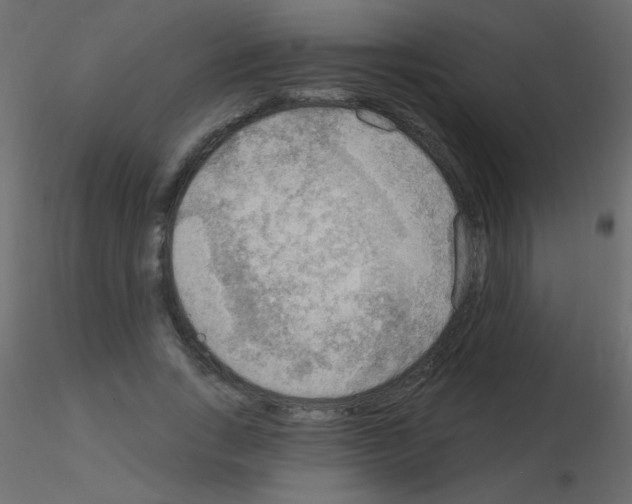 X0000115850735200912242037
