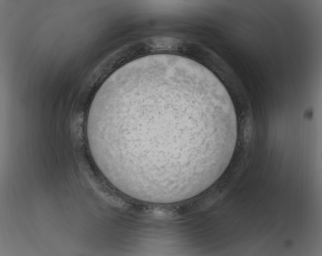X0000115850737200912242037