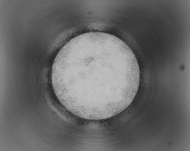 X0000115850738200912242037