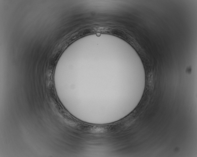 X0000115850741200912242037