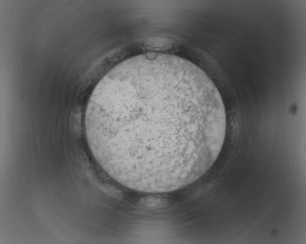 X0000115850745200912242037