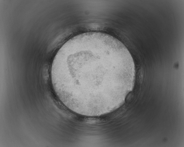 X0000115850746200912242037