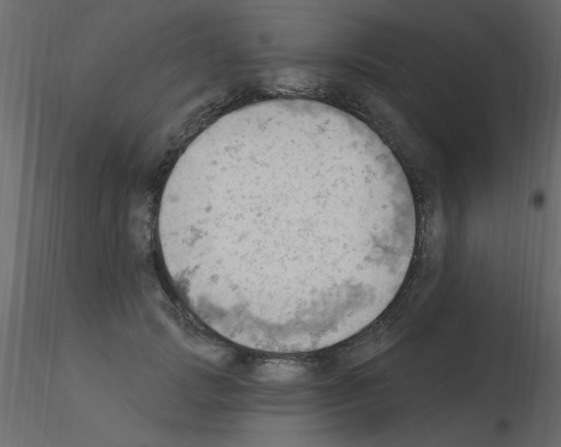 X0000115850749200912242037