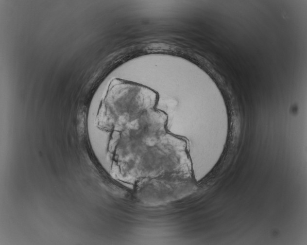 X0000115850753200912242037