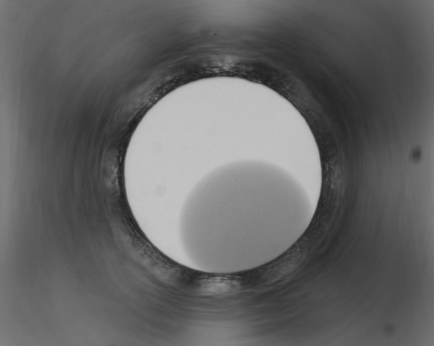 X0000115850754200912242037
