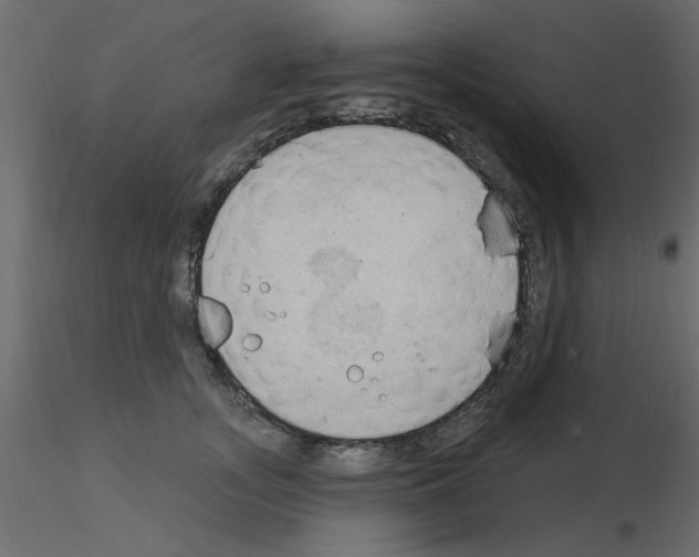 X0000115850755200912242037