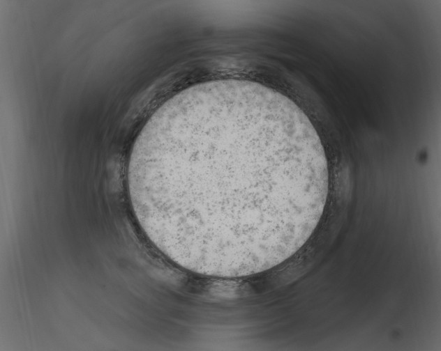 X0000115850757200912242037