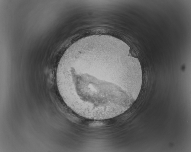 X0000115850759200912242037