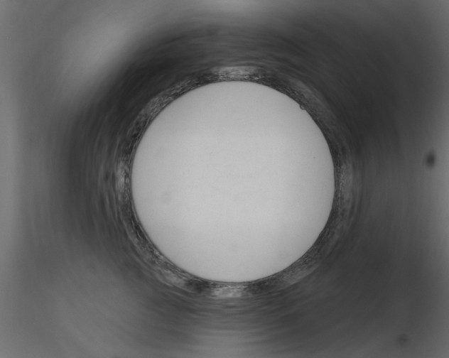 X0000115850761200912242037