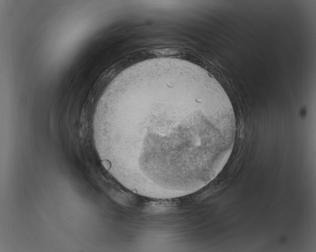 X0000115850763200912242037