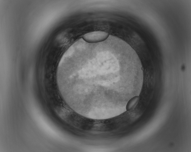 X0000115850766200912242037