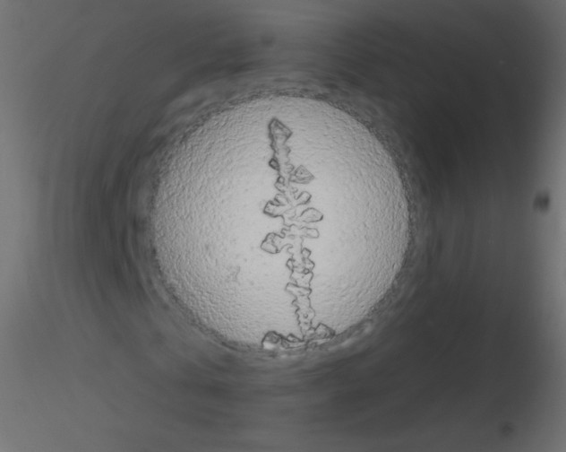 X0000115850769200912242037