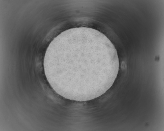 X0000115850771200912242037