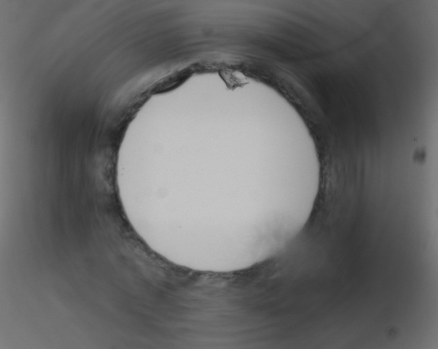 X0000115850773200912242037