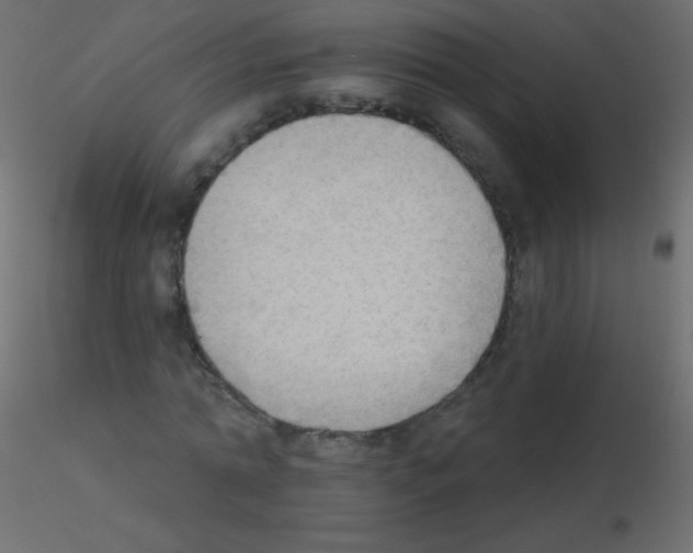 X0000115850774200912242037