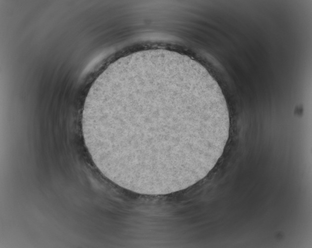 X0000115850775200912242037