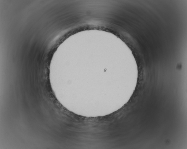 X0000115850776200912242037