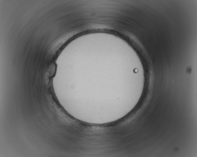 X0000115850777200912242037