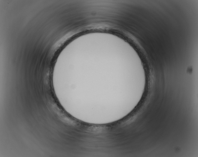 X0000115850778200912242037