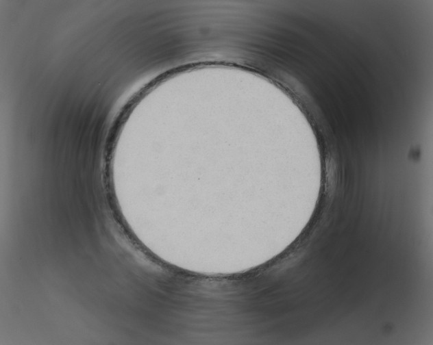 X0000115850780200912242037