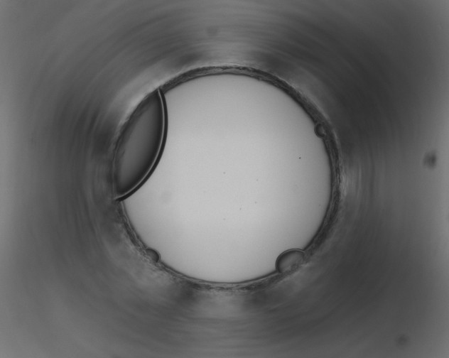 X0000115850781200912242037