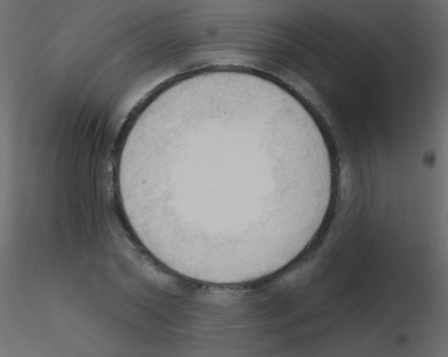 X0000115850782200912242037