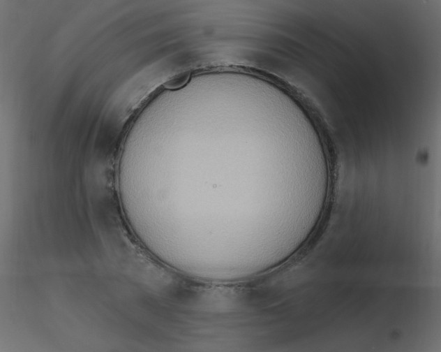X0000115850785200912242037