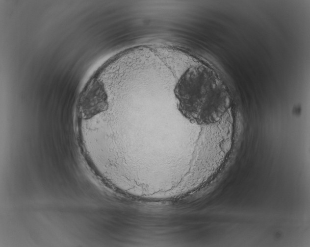 X0000115850788200912242037