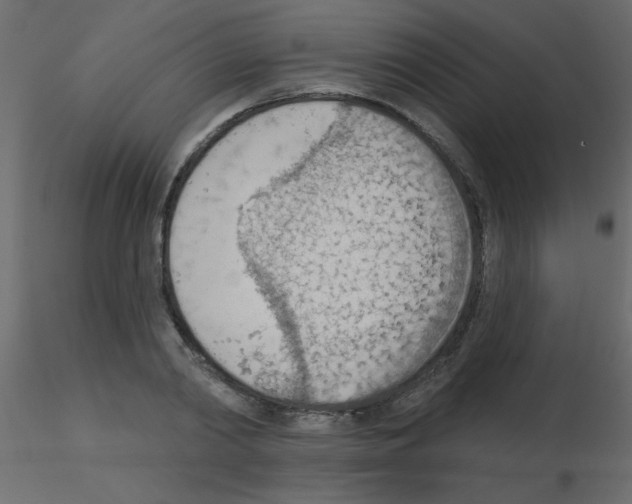 X0000115850790200912242037