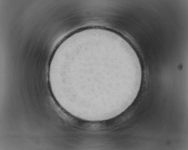 X0000115850791200912242037