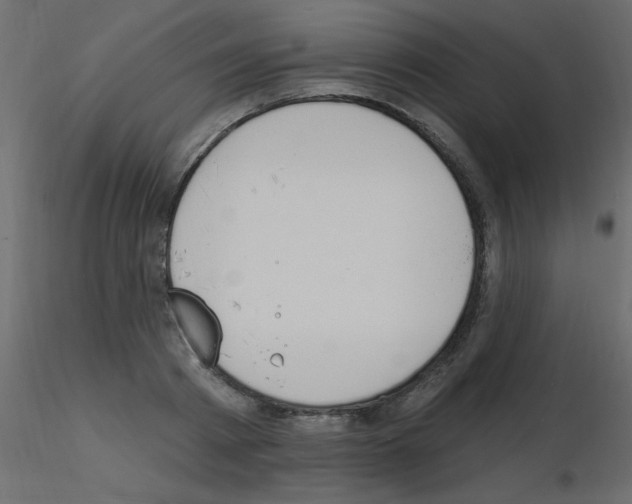 X0000115850793200912242036