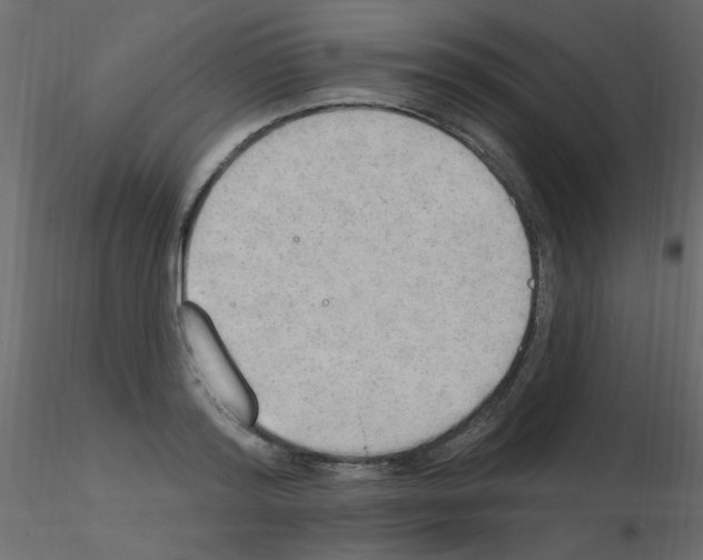 X0000115850796200912242036