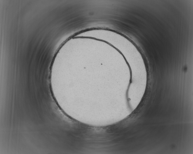 X0000115850799200912242036