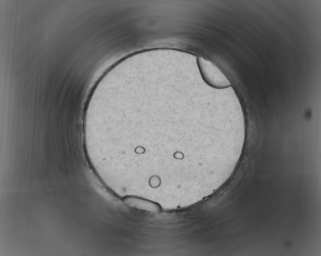 X0000115850800200912242036