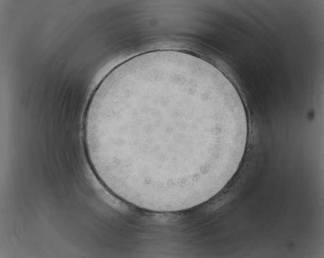 X0000115850803200912242036
