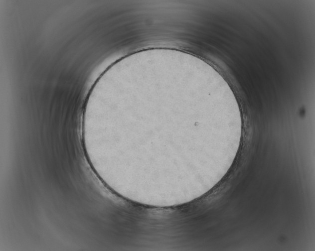 X0000115850804200912242036