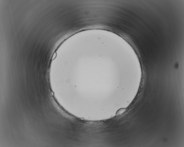 X0000115850805200912242036