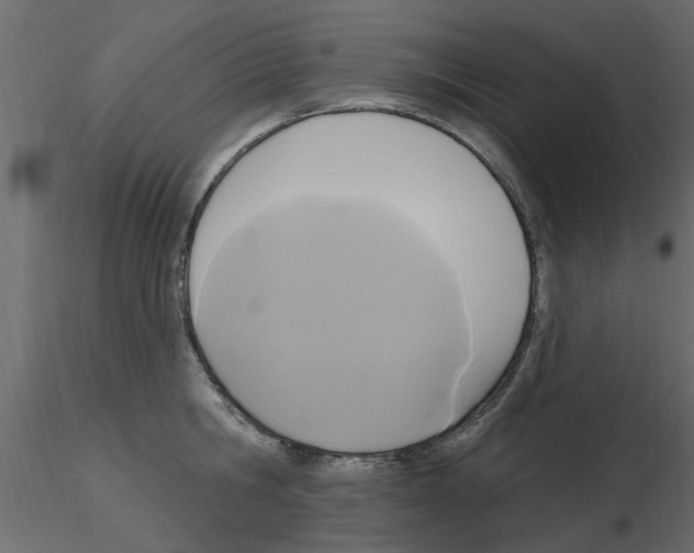 X0000115850806200912242036