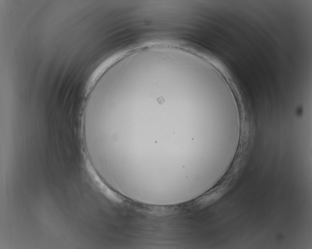 X0000115850807200912242036